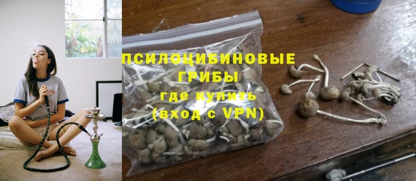 бошки Богданович