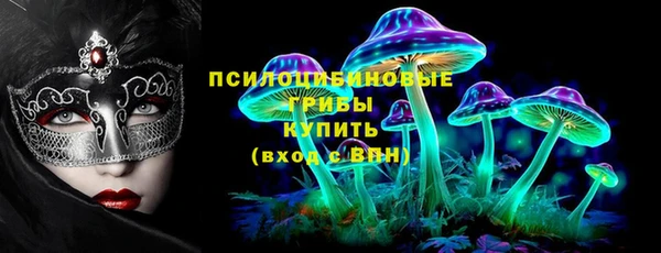 mdma Бородино