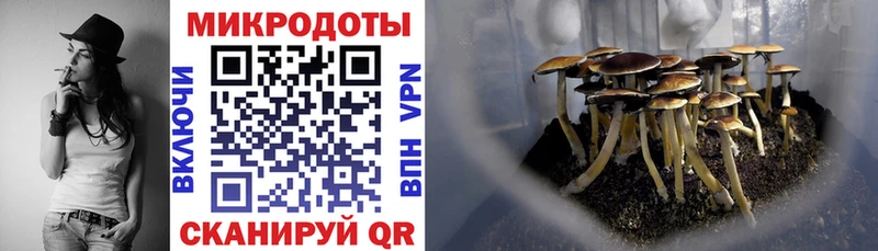 Псилоцибиновые грибы прущие грибы  дарнет шоп  нарко площадка как зайти  Дагестанские Огни 