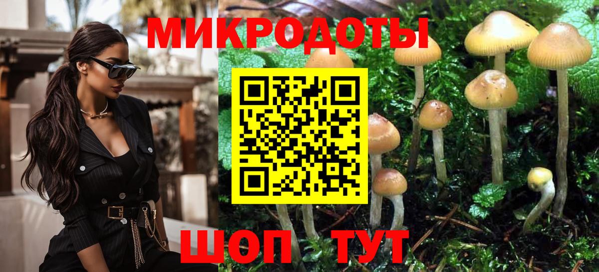 Галлюциногенные грибы GOLDEN TEACHER  Вход с VPN  Дагестанские Огни 